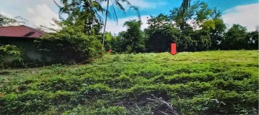 ขายทอดตลาด ที่ดินว่างเปล่า ต.สีวิเชียร อ.น้ำยืน จ.อุบลราชธานี