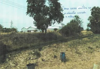 รูปทรัพย์ 1