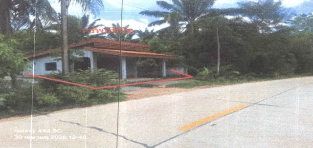 ขายทอดตลาด ที่ดินพร้อมสิ่งปลูกสร้าง ต.บ้านพร้าว อ.ป่าพะยอม จ.พัทลุง