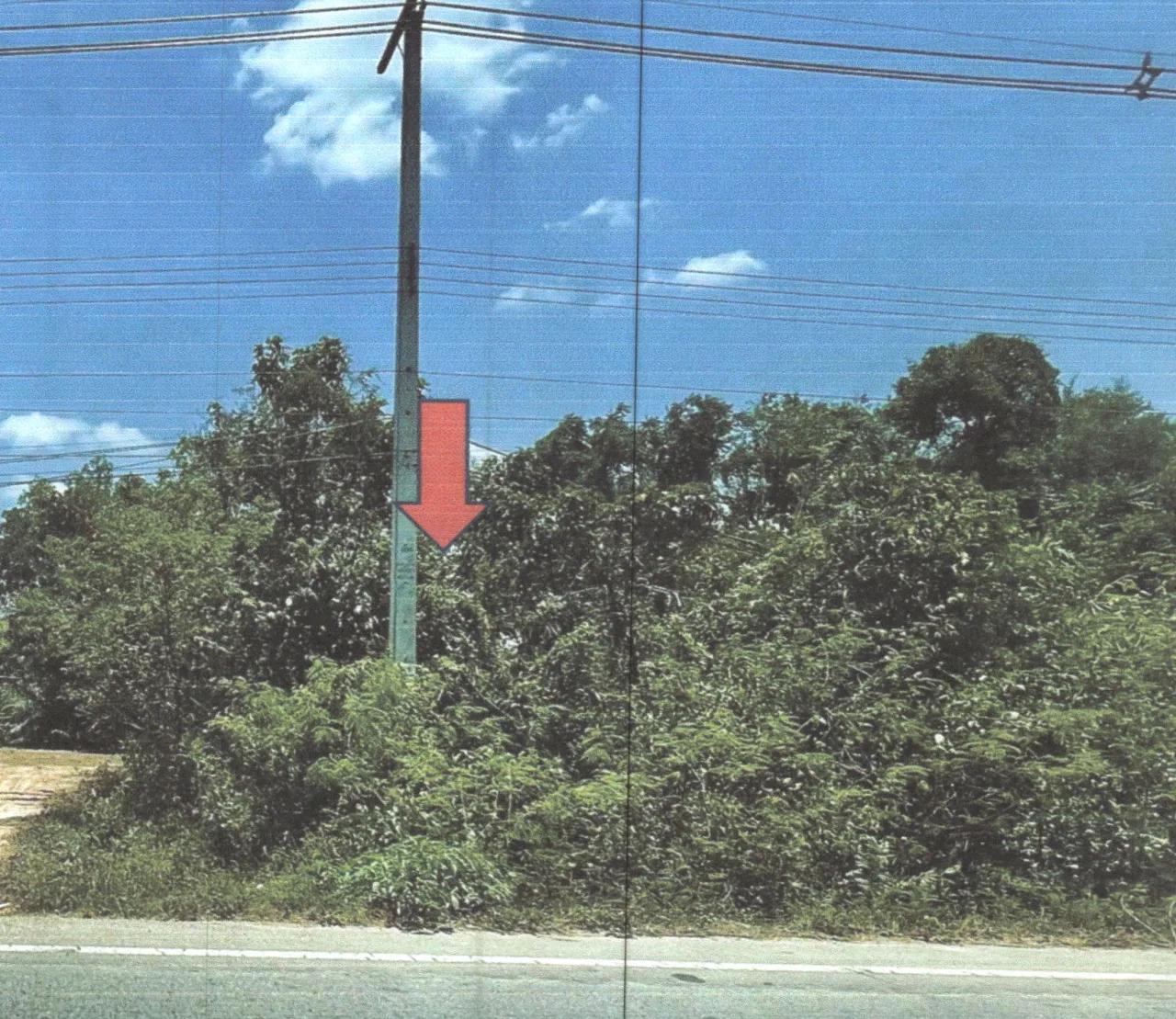 ขายทอดตลาด ที่ดินว่างเปล่า ต.บ้านพร้าว อ.ป่าพะยอม จ.พัทลุง