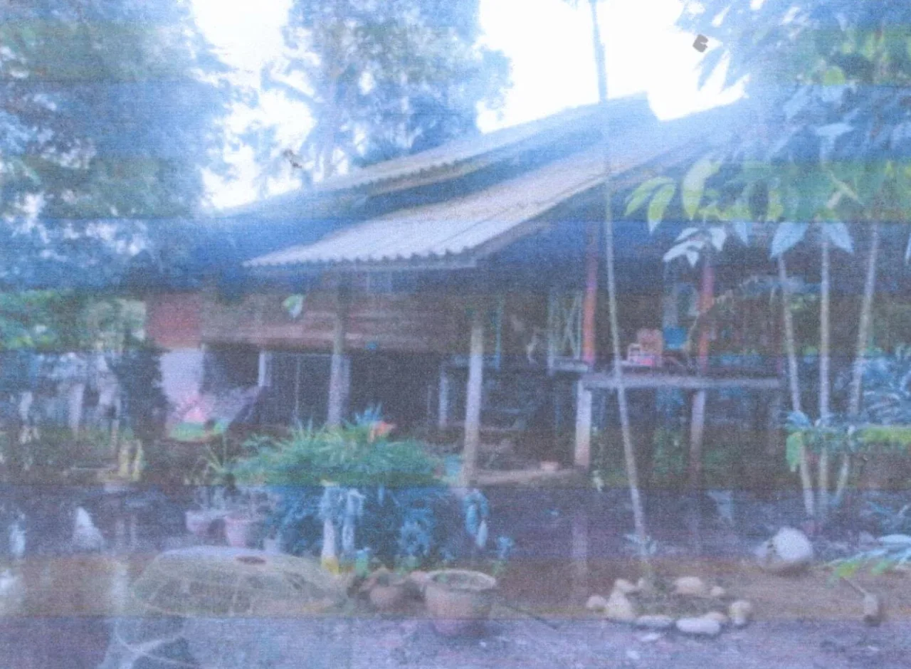 ขายทอดตลาด ที่ดินพร้อมสิ่งปลูกสร้าง ต.จองถนน อ.เขาชัยสน จ.พัทลุง