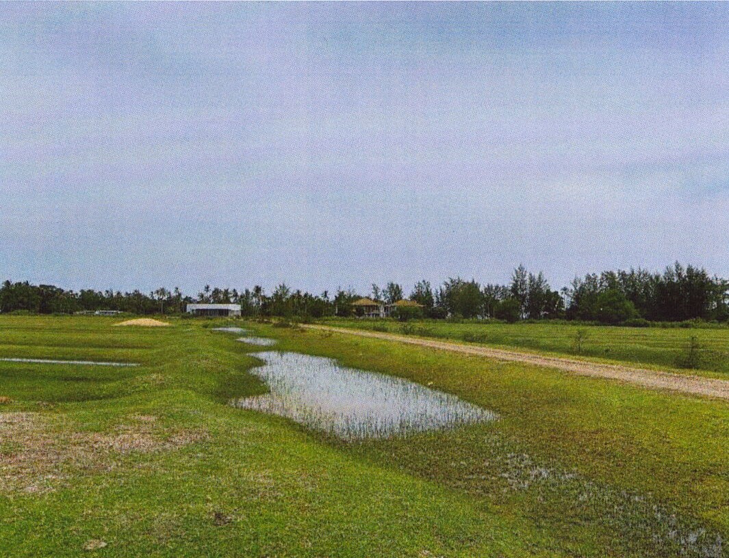 ขายทอดตลาด ที่ดินว่างเปล่า จ.กระบี่
