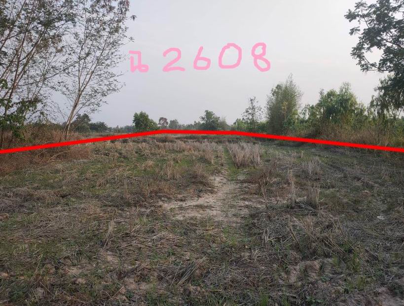 ขายทอดตลาด ที่ดินว่างเปล่า ต.ตบหู อ.เดชอุดม จ.อุบลราชธานี