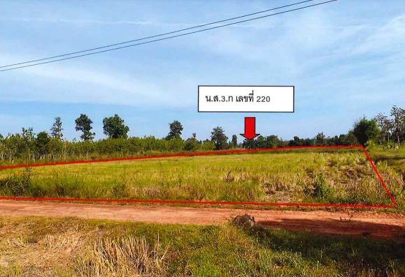 ขายทอดตลาด ที่ดินว่างเปล่า ต.นาโพธิ์ อ.บุณฑริก จ.อุบลราชธานี