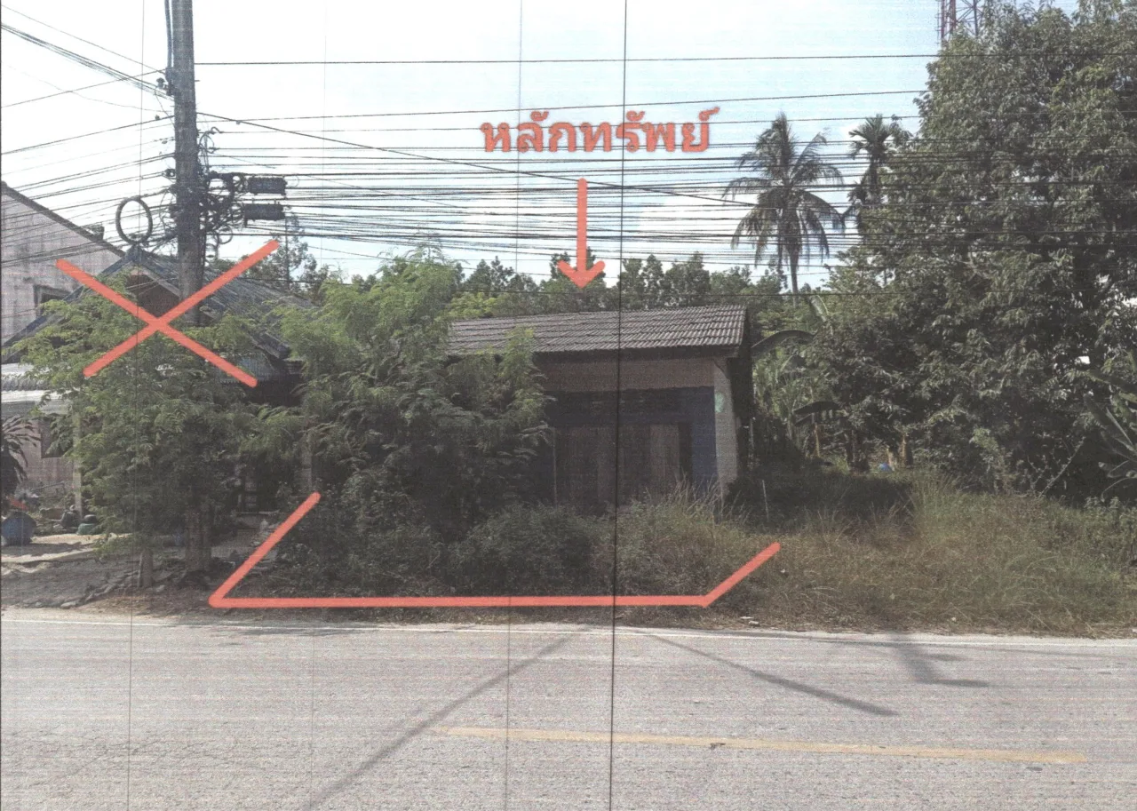 ขายทอดตลาด ที่ดินพร้อมสิ่งปลูกสร้าง ต.ตะโหมด อ.ตะโหมด จ.พัทลุง