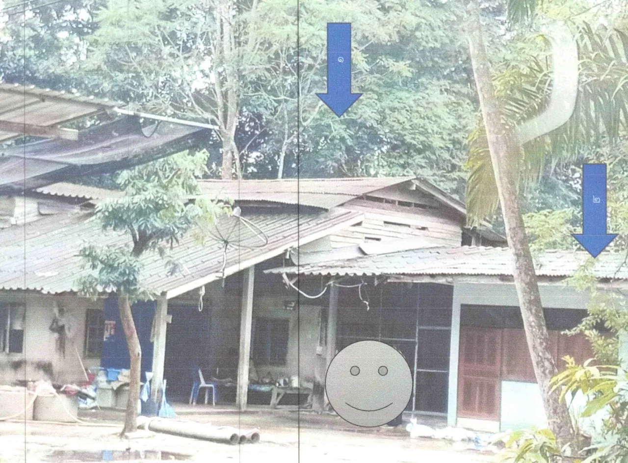 ขายทอดตลาด ที่ดินพร้อมสิ่งปลูกสร้าง ต.หนองธง อ.ป่าบอน จ.พัทลุง