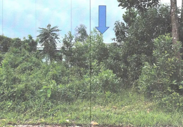 ขายทอดตลาด ที่ดินว่างเปล่า ต.แม่ขรี อ.ตะโหมด จ.พัทลุง