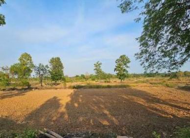 ขายทอดตลาด ที่ดินว่างเปล่า ต.กลาง อ.เดชอุดม จ.อุบลราชธานี