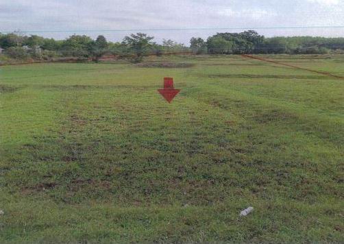 ขายทอดตลาด ที่ดินว่างเปล่า ต.กลาง อ.เดชอุดม จ.อุบลราชธานี