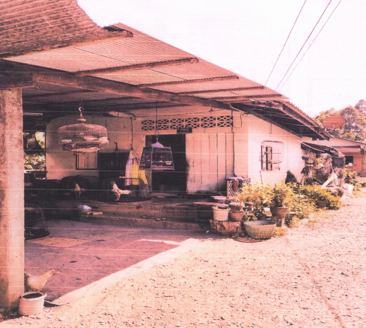 ขายทอดตลาด ที่ดินพร้อมสิ่งปลูกสร้าง ต.ลำปำ อ.เมืองพัทลุง จ.พัทลุง