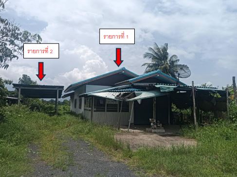 ขายทอดตลาด ที่ดินพร้อมสิ่งปลูกสร้าง ต.ทุ่งเทิง อ.เดชอุดม จ.อุบลราชธานี
