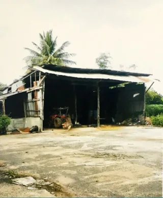 รูปทรัพย์ 2