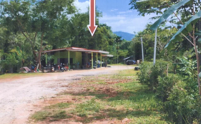 ขายทอดตลาด ที่ดินพร้อมสิ่งปลูกสร้าง ต.ตะโหมด อ.ตะโหมด จ.พัทลุง