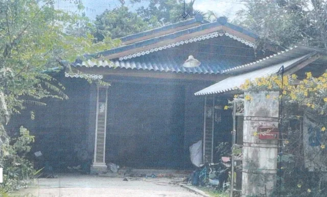 ขายทอดตลาด ที่ดินพร้อมสิ่งปลูกสร้าง ต.โคกสัก อ.บางแก้ว จ.พัทลุง