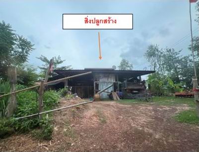 ขายทอดตลาด ที่ดินพร้อมสิ่งปลูกสร้าง ต.นาเจริญ อ.เดชอุดม จ.อุบลราชธานี