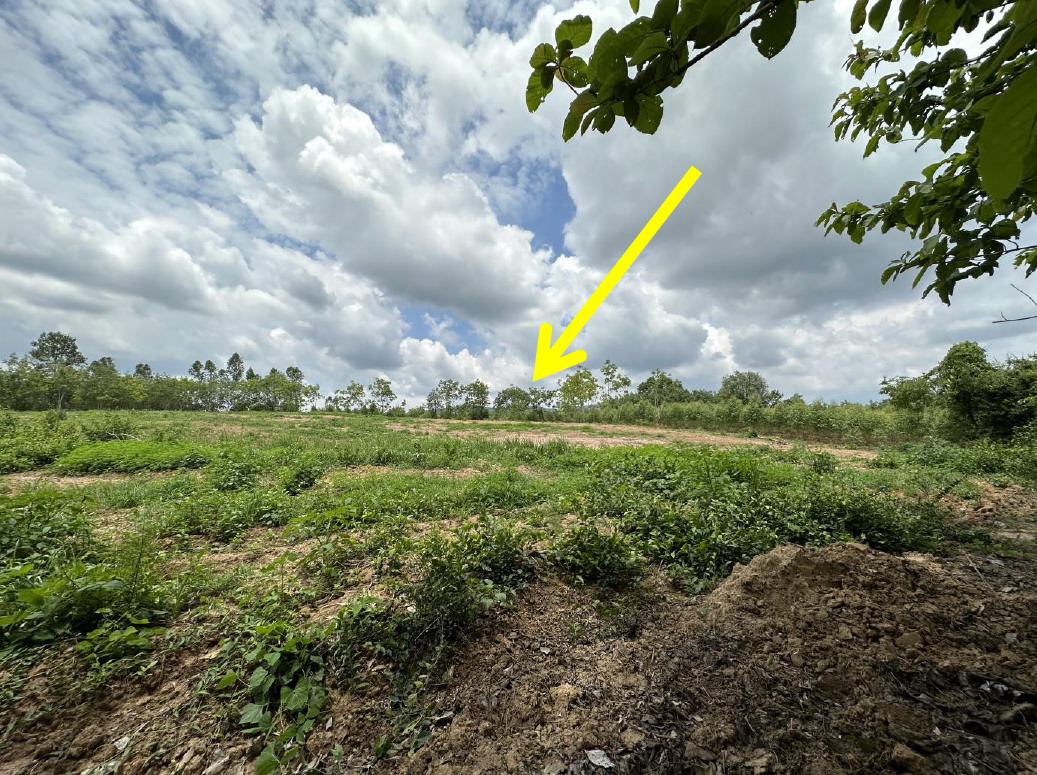 ขายทอดตลาด ที่ดินว่างเปล่า จ.ปราจีนบุรี