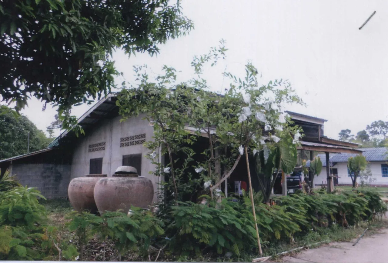 ขายทอดตลาด ที่ดินพร้อมสิ่งปลูกสร้าง ต.ทุ่งโพธิ์ อ.นาดี จ.ปราจีนบุรี