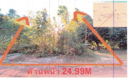 ขายทอดตลาด ที่ดินว่างเปล่า ต.บัวงาม อ.บุณฑริก จ.อุบลราชธานี