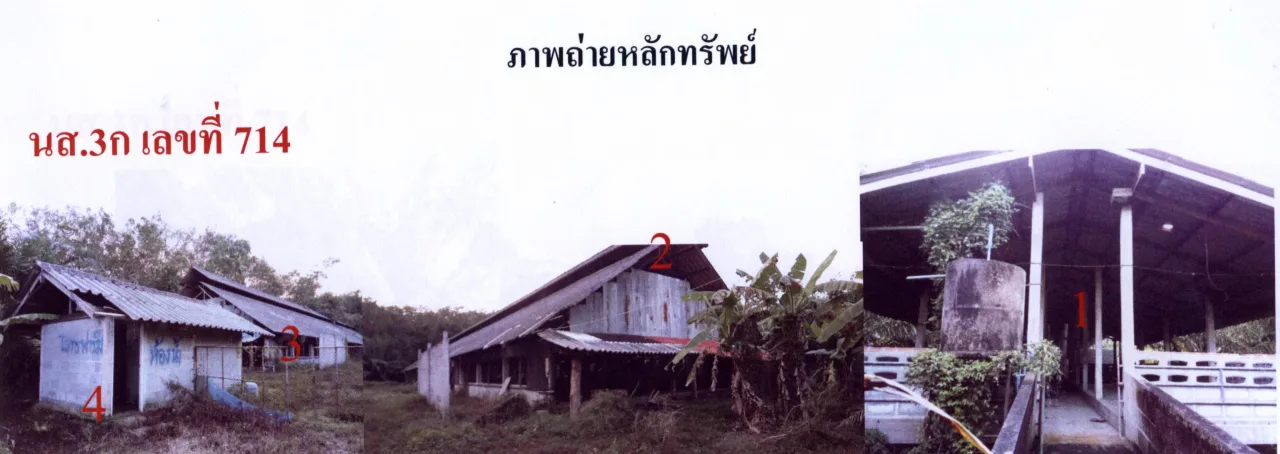 ขายทอดตลาด ที่ดินพร้อมสิ่งปลูกสร้าง ต.ตะแพน อ.ศรีบรรพต จ.พัทลุง