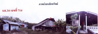 รูปทรัพย์ 1