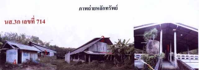 ขายทอดตลาด ที่ดินพร้อมสิ่งปลูกสร้าง ต.ตะแพน อ.ศรีบรรพต จ.พัทลุง