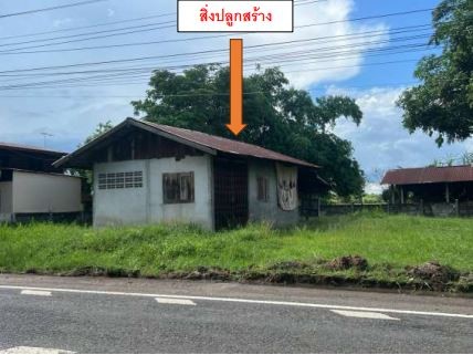 ขายทอดตลาด ที่ดินพร้อมสิ่งปลูกสร้าง ต.นาเจริญ อ.เดชอุดม จ.อุบลราชธานี
