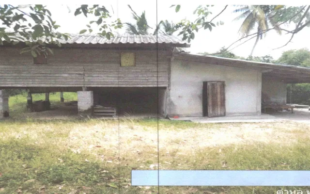 ขายทอดตลาด ที่ดินพร้อมสิ่งปลูกสร้าง ต.ทุ่งนารี อ.ป่าบอน จ.พัทลุง