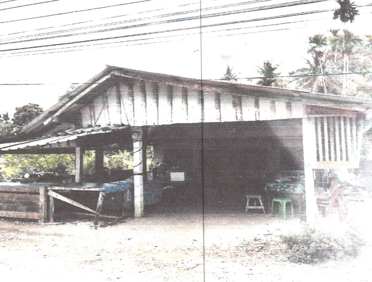 ขายทอดตลาด ที่ดินพร้อมสิ่งปลูกสร้าง ต.ดอนทราย อ.ควนขนุน จ.พัทลุง