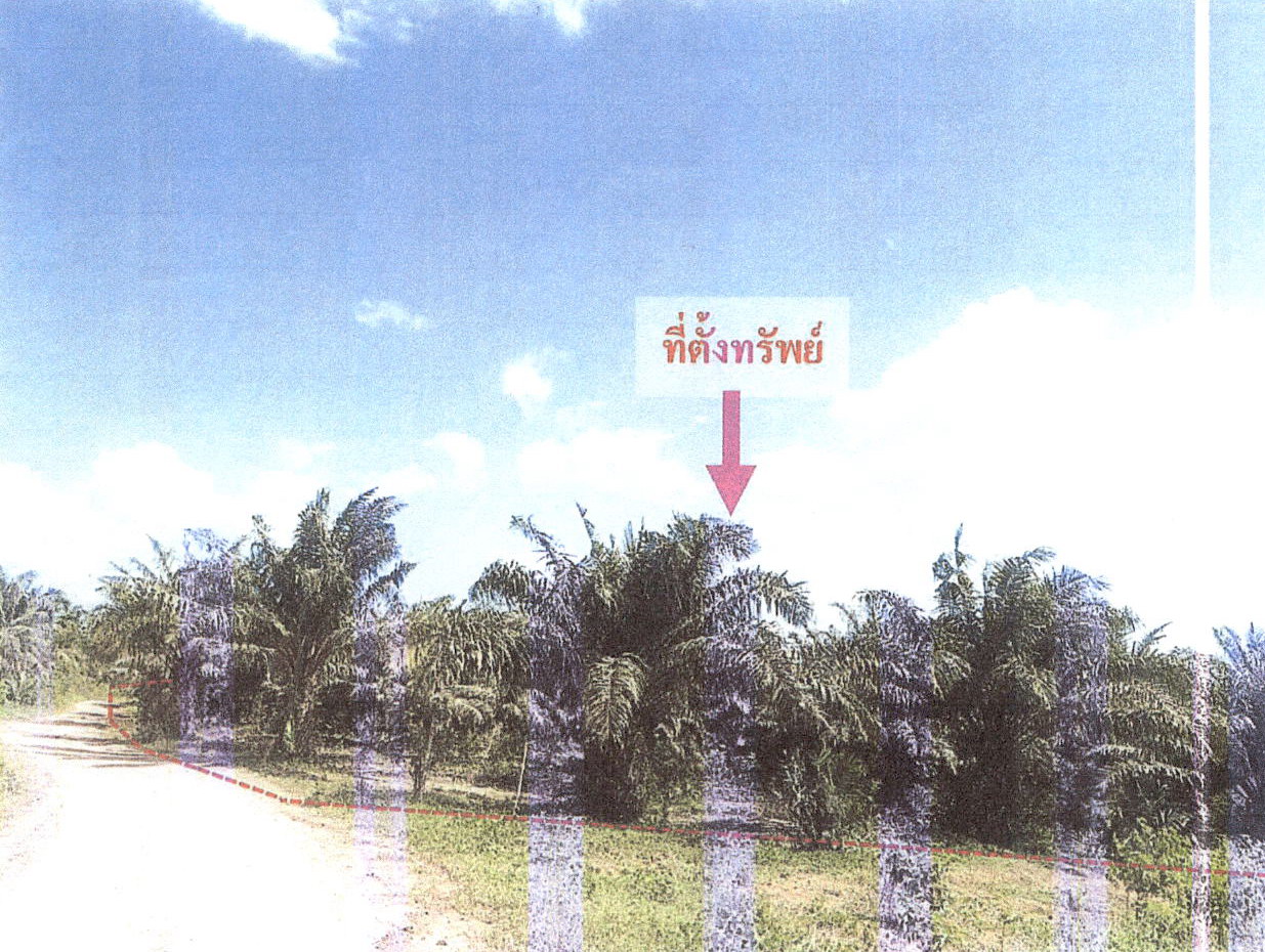 ขายทอดตลาด ที่ดินว่างเปล่า จ.กระบี่