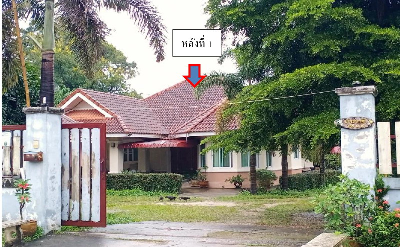 ขายทอดตลาด ที่ดินพร้อมสิ่งปลูกสร้าง ต.ป่าซาง อ.แม่จัน จ.เชียงราย