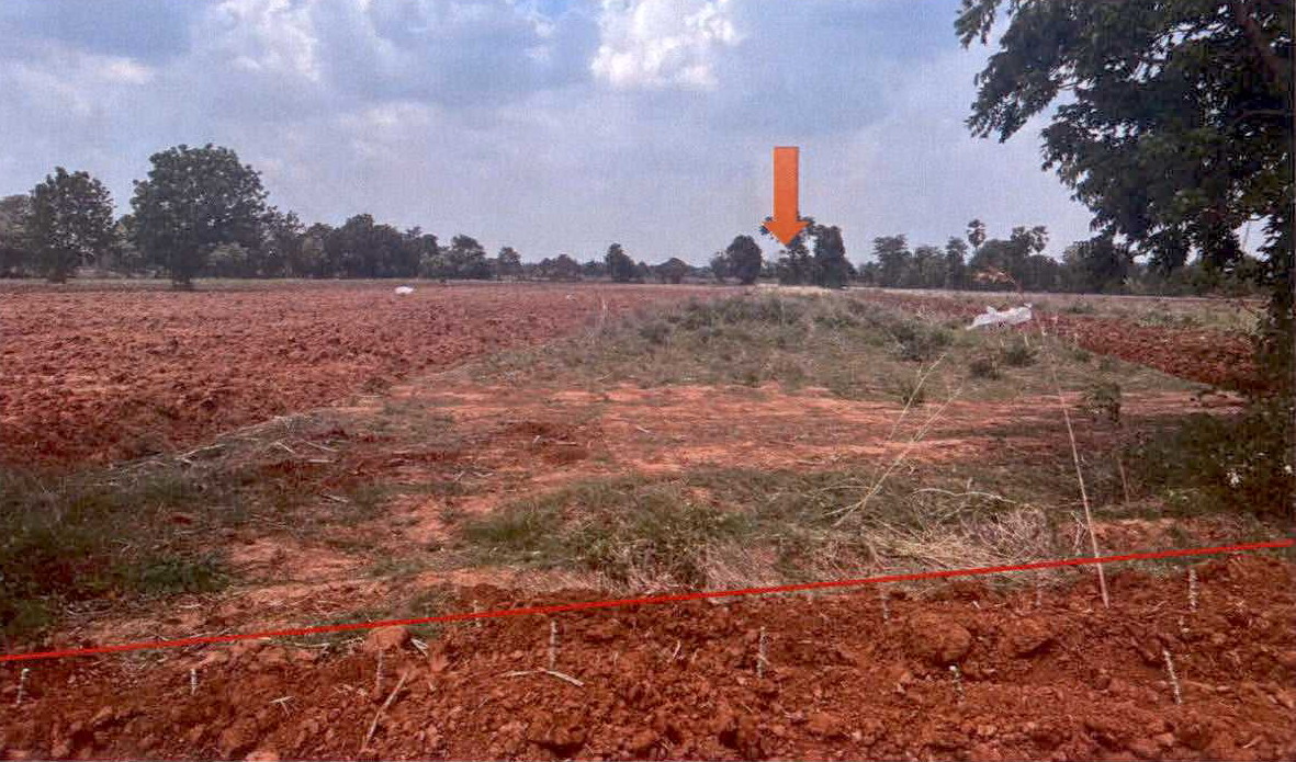 ขายทอดตลาด ที่ดินว่างเปล่า จ.นครราชสีมา