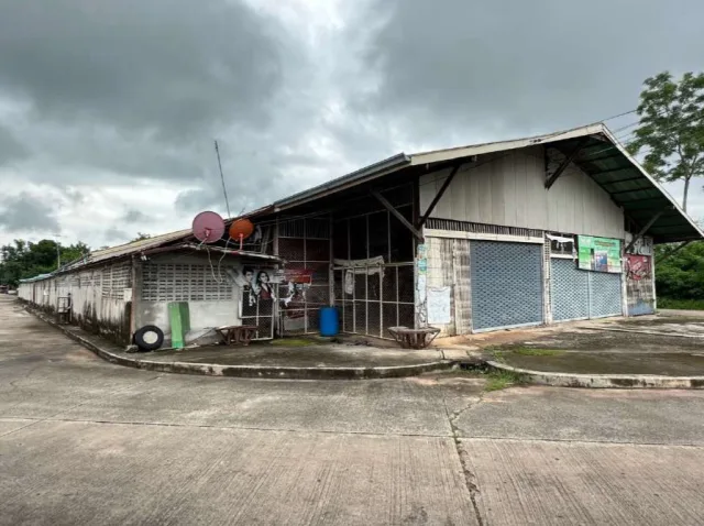 ขายทอดตลาด ที่ดินพร้อมสิ่งปลูกสร้าง ต.ภูเวียง อ.ภูเวียง จ.ขอนแก่น