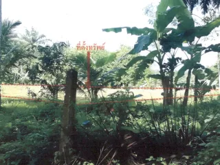 รูปทรัพย์ 2