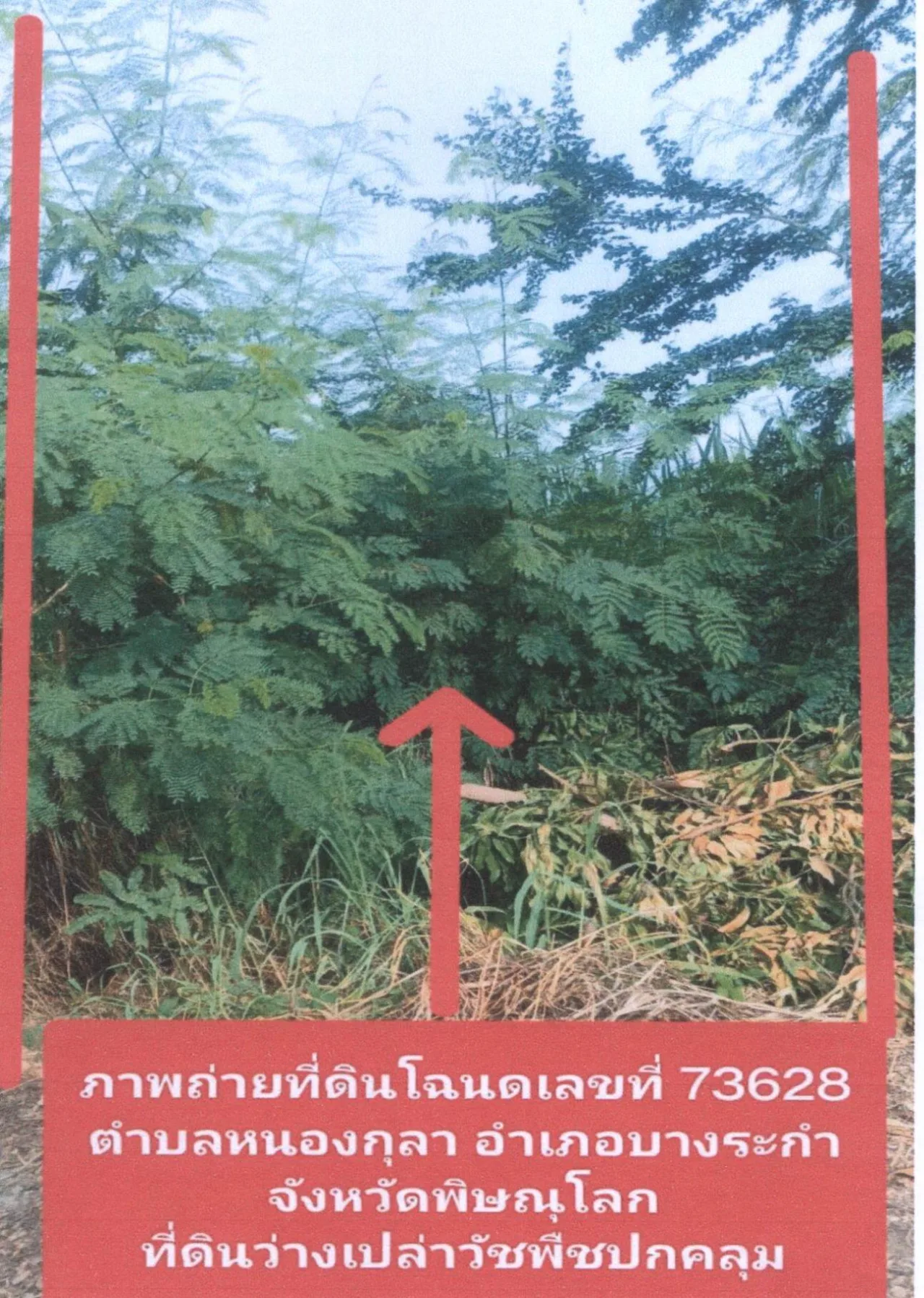 ขายทอดตลาด ที่ดินว่างเปล่า จ.พิษณุโลก