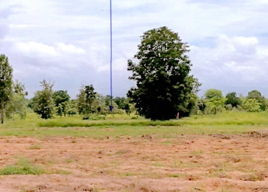 ขายทอดตลาด ที่ดินว่างเปล่า ต.หนองไผ่ อ.ชุมแพ จ.ขอนแก่น