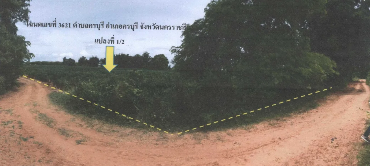 ขายทอดตลาด ที่ดินว่างเปล่า จ.นครราชสีมา