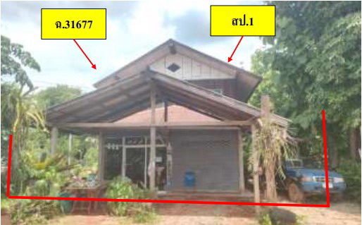 ขายทอดตลาด ที่ดินพร้อมสิ่งปลูกสร้าง ต.บ่อโพธิ์ อ.นครไทย จ.พิษณุโลก