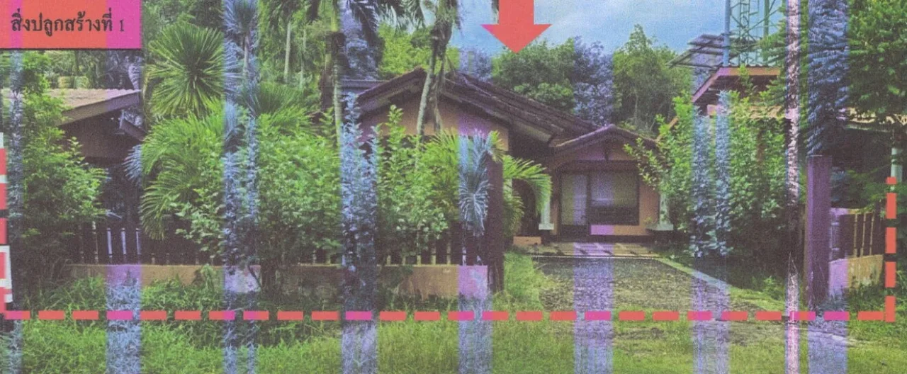 ขายทอดตลาด ที่ดินพร้อมสิ่งปลูกสร้าง ต.เกาะลันตาใหญ่ อ.เกาะลันตา จ.กระบี่