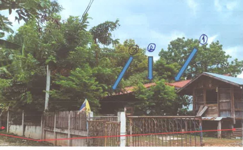 ขายทอดตลาด ที่ดินพร้อมสิ่งปลูกสร้าง ต.สายออ อ.โนนไทย จ.นครราชสีมา