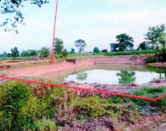 ขายทอดตลาด ที่ดินว่างเปล่า จ.ศรีสะเกษ
