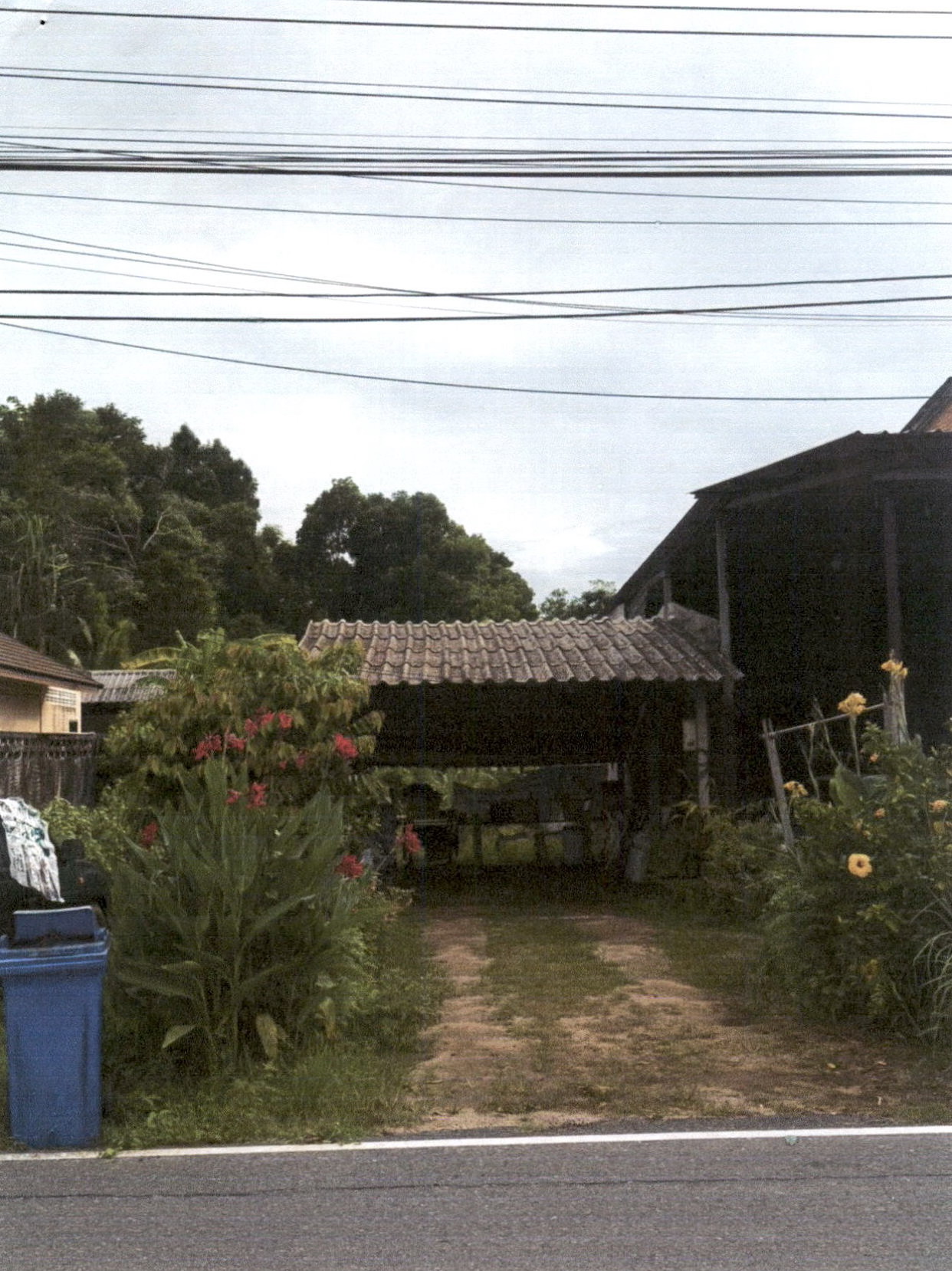 ขายทอดตลาด ที่ดินพร้อมสิ่งปลูกสร้าง ต.บางนายสี อ.ตะกั่วป่า จ.พังงา