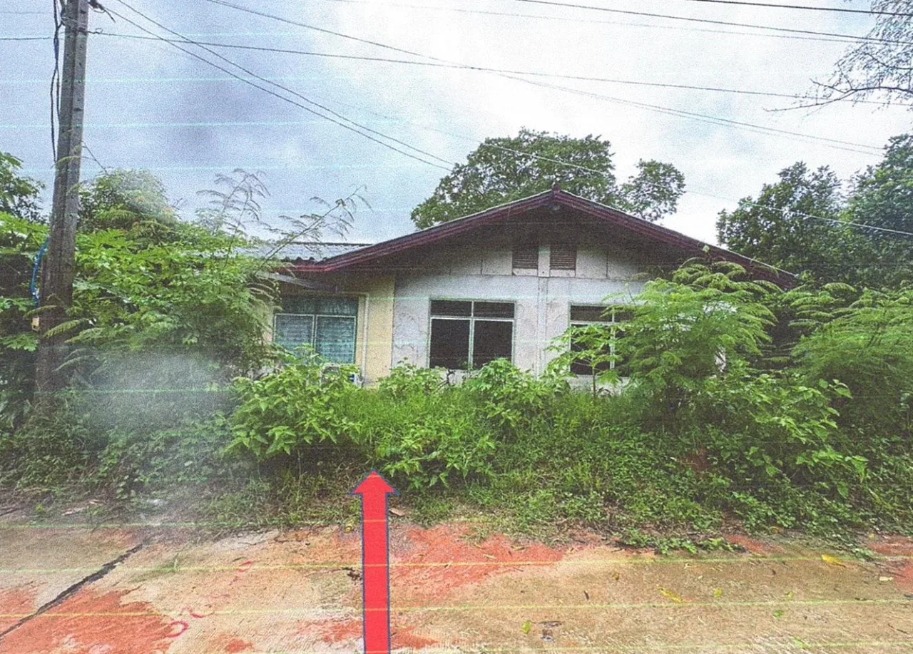 ขายทอดตลาด ที่ดินพร้อมสิ่งปลูกสร้าง ต.สงเปือย อ.ภูเวียง จ.ขอนแก่น