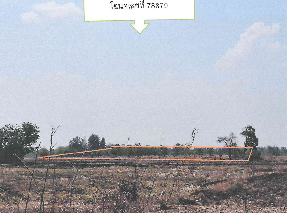 ขายทอดตลาด ที่ดินว่างเปล่า จ.นครราชสีมา