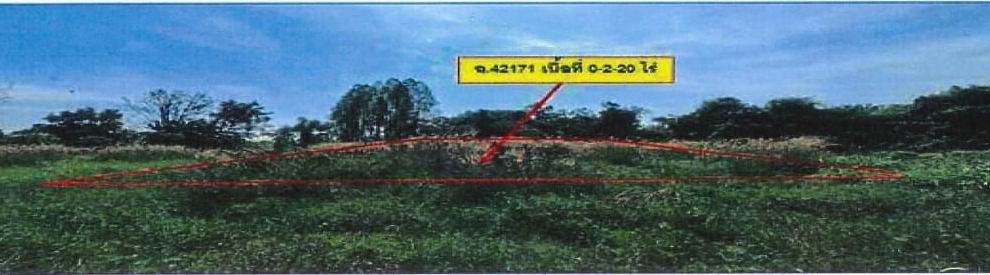 ขายทอดตลาด ที่ดินว่างเปล่า ต.หนองเรือ อ.หนองเรือ จ.ขอนแก่น