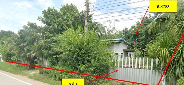 ขายทอดตลาด ที่ดินพร้อมสิ่งปลูกสร้าง ต.ชุมแสงสงคราม อ.บางระกำ จ.พิษณุโลก