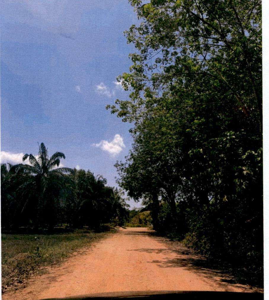 ขายทอดตลาด ที่ดินว่างเปล่า จ.กระบี่