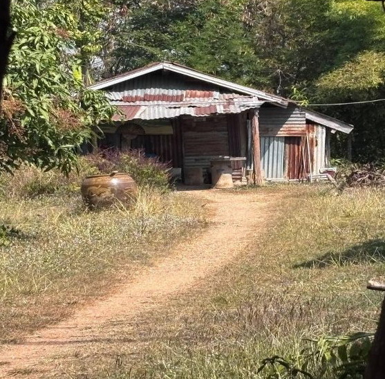 ขายทอดตลาด ที่ดินพร้อมสิ่งปลูกสร้าง ต.ท่ากระเสริม อ.น้ำพอง จ.ขอนแก่น