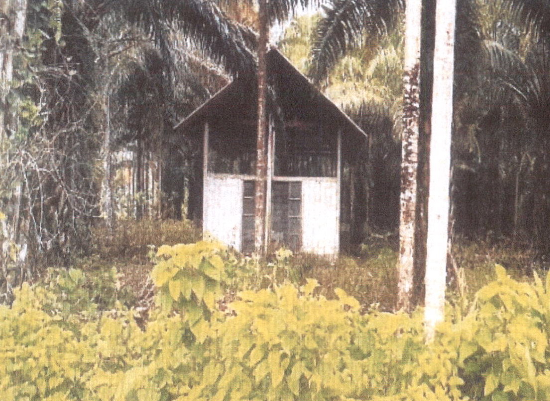 ขายทอดตลาด ที่ดินพร้อมสิ่งปลูกสร้าง ต.แม่นางขาว อ.คุระบุรี จ.พังงา