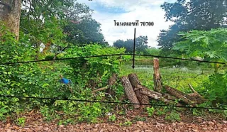 รูปทรัพย์ 2
