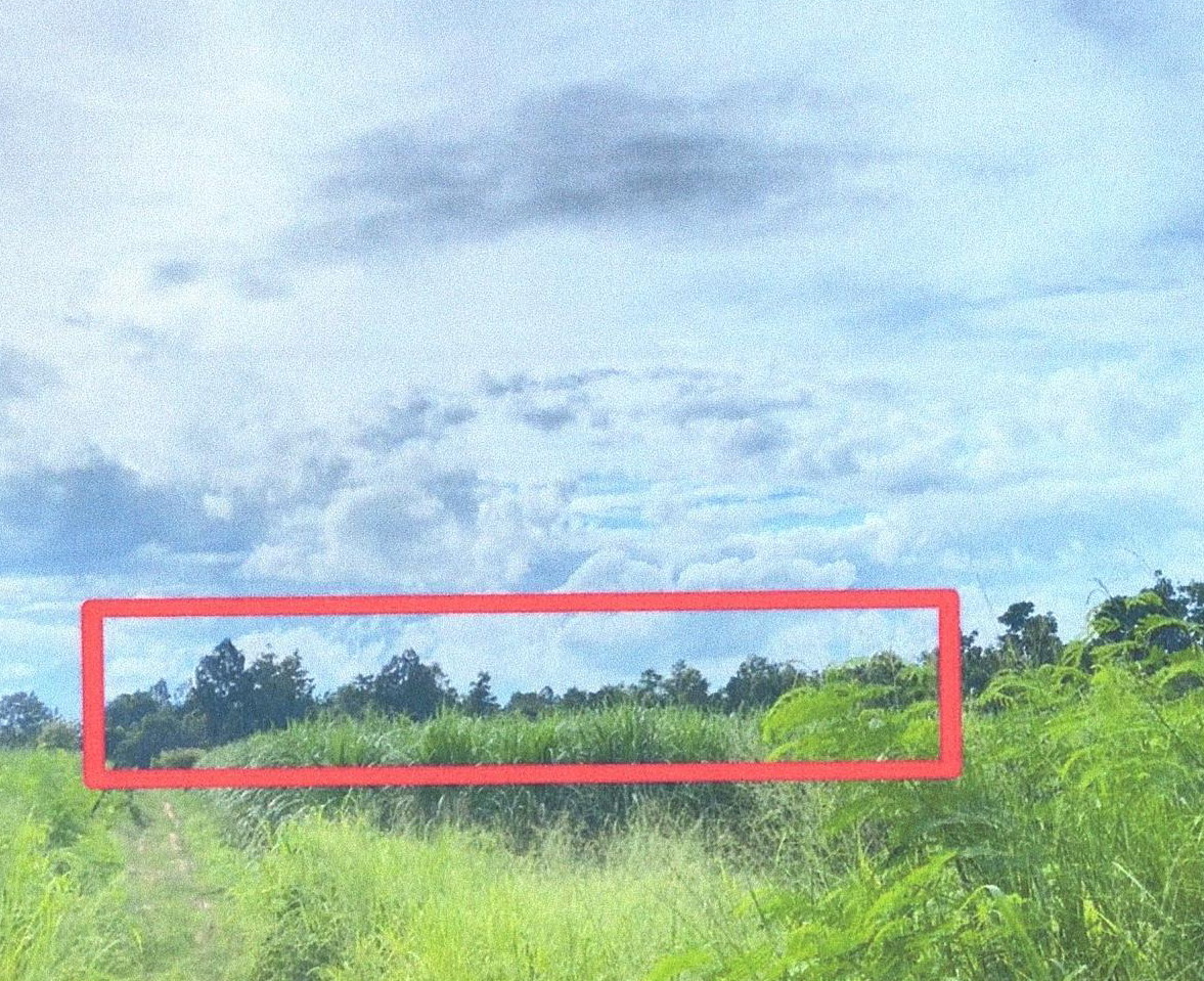ขายทอดตลาด ที่ดินว่างเปล่า จ.ขอนแก่น